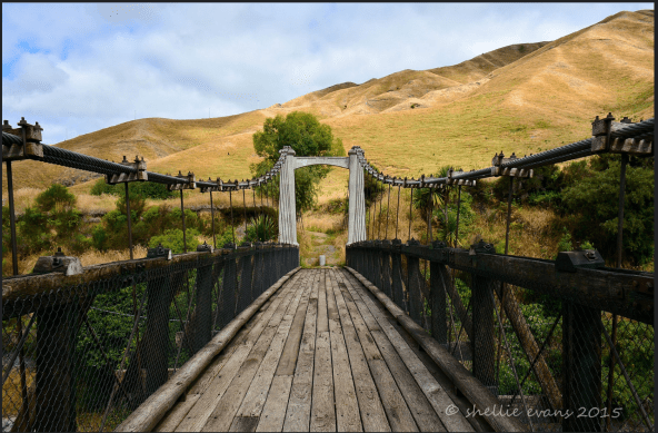 Screen Shot 2017-06-30 at 12.40.14 PM