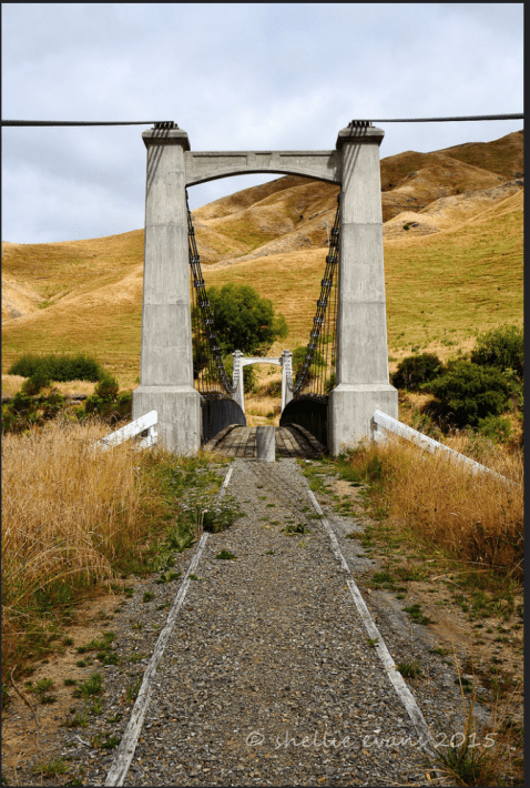 Screen Shot 2017-06-30 at 12.42.37 PM